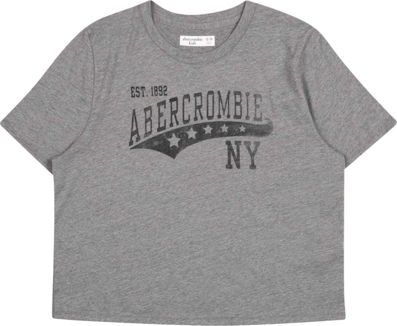 Abercrombie & Fitch Tričko šedý melír / černá