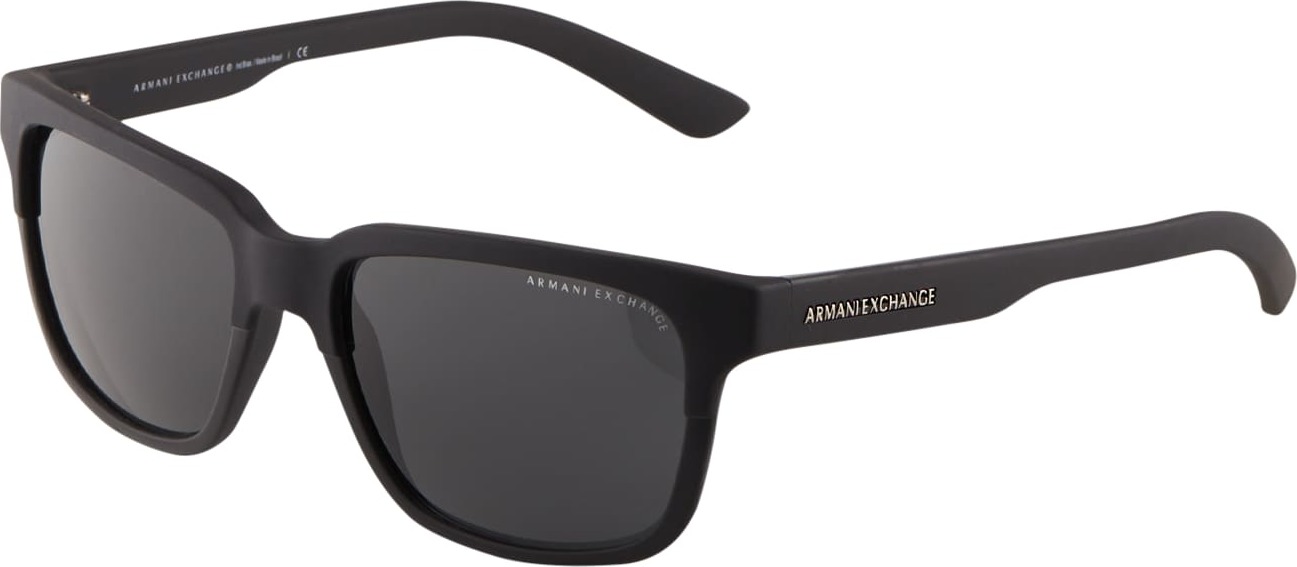 ARMANI EXCHANGE Sluneční brýle '4026S' černá