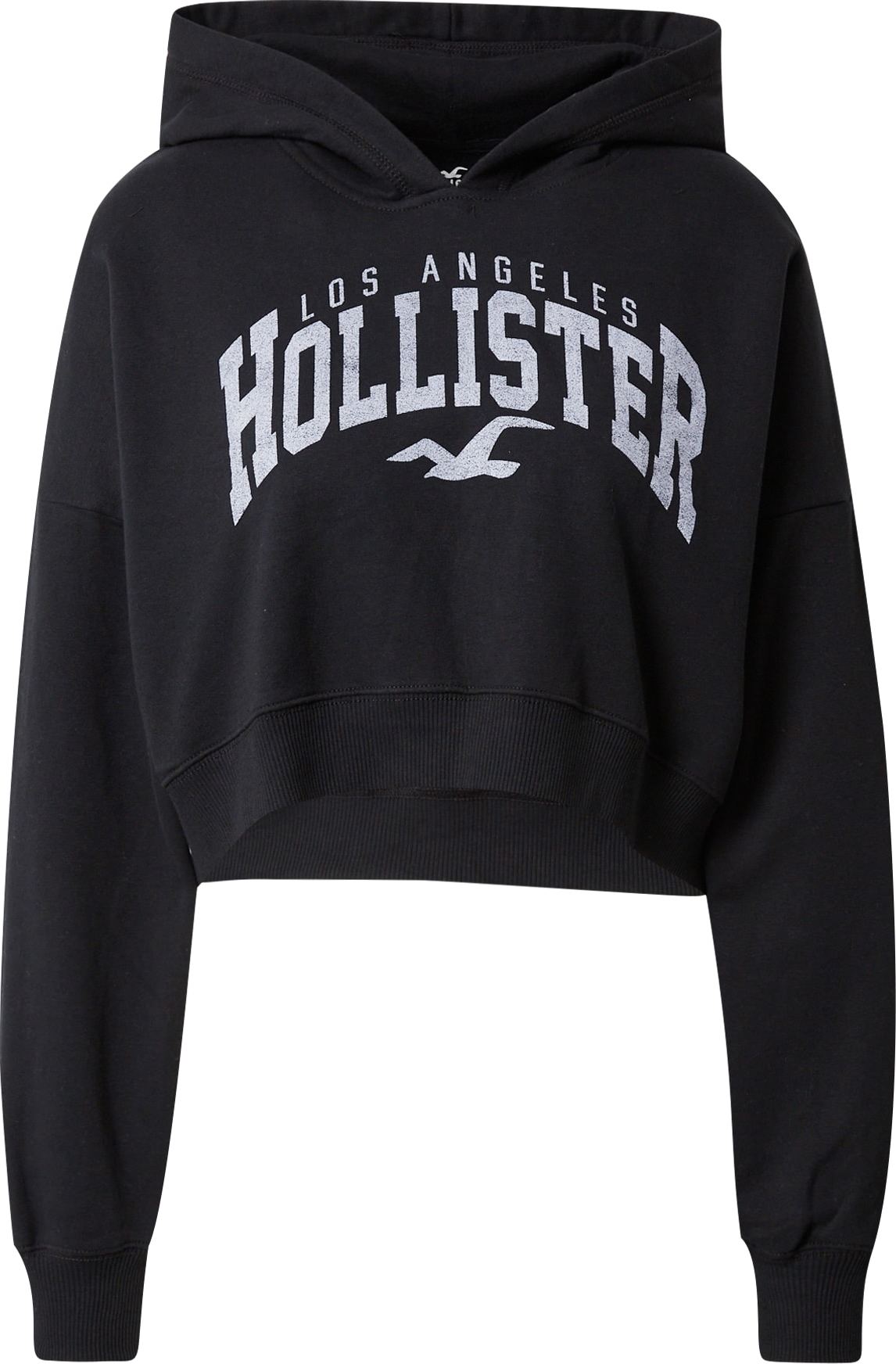 HOLLISTER Mikina černá / bílá