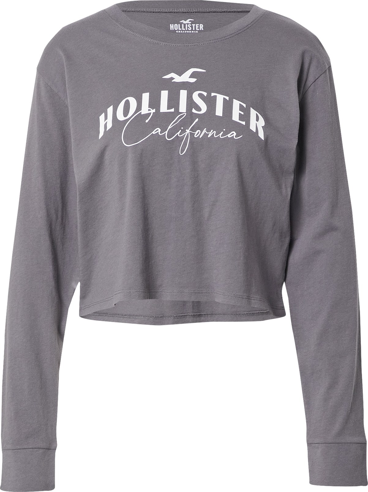 HOLLISTER Tričko šedá / bílá