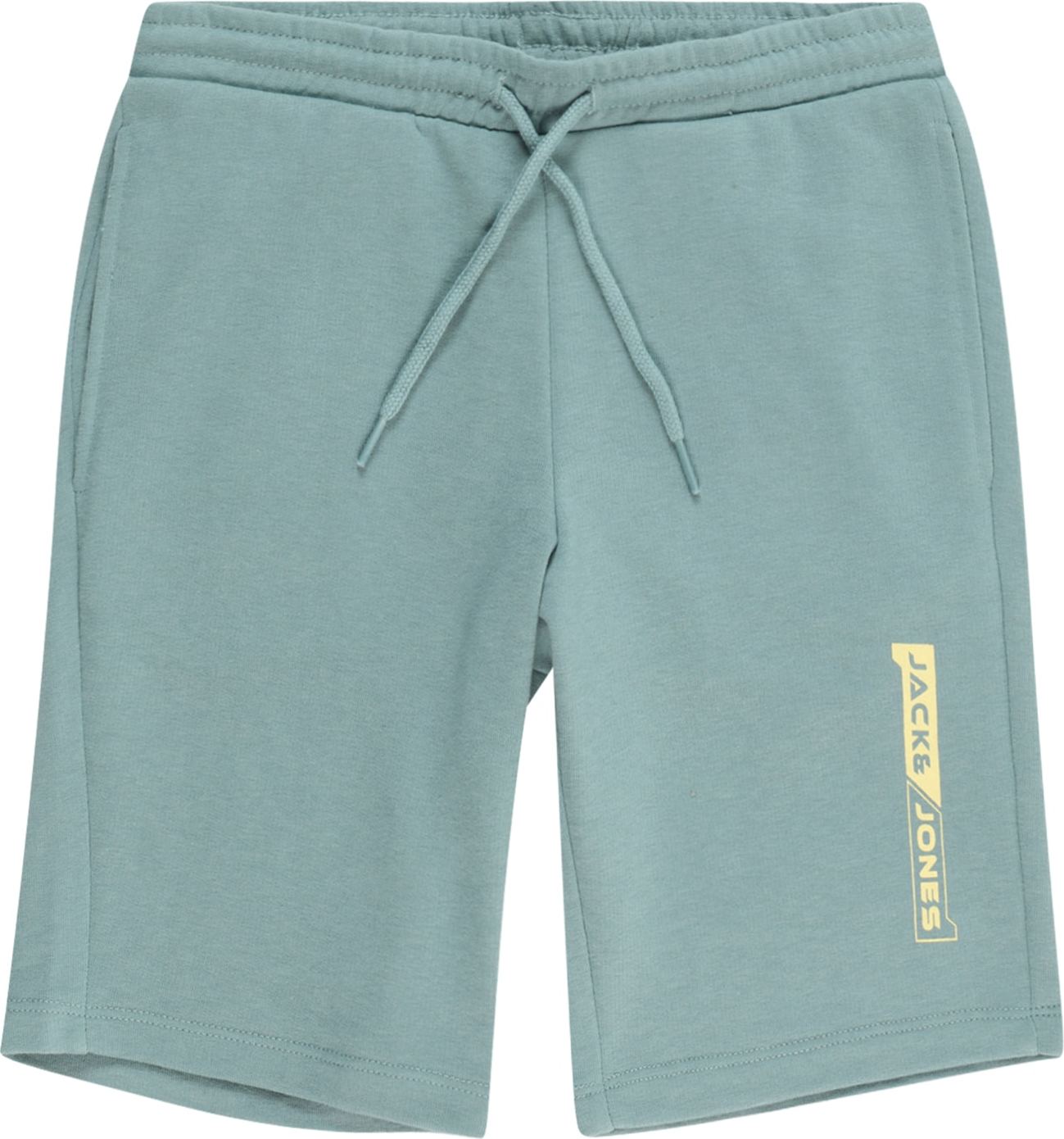 Jack & Jones Junior Kalhoty 'SHEAR' petrolejová / pastelově zelená