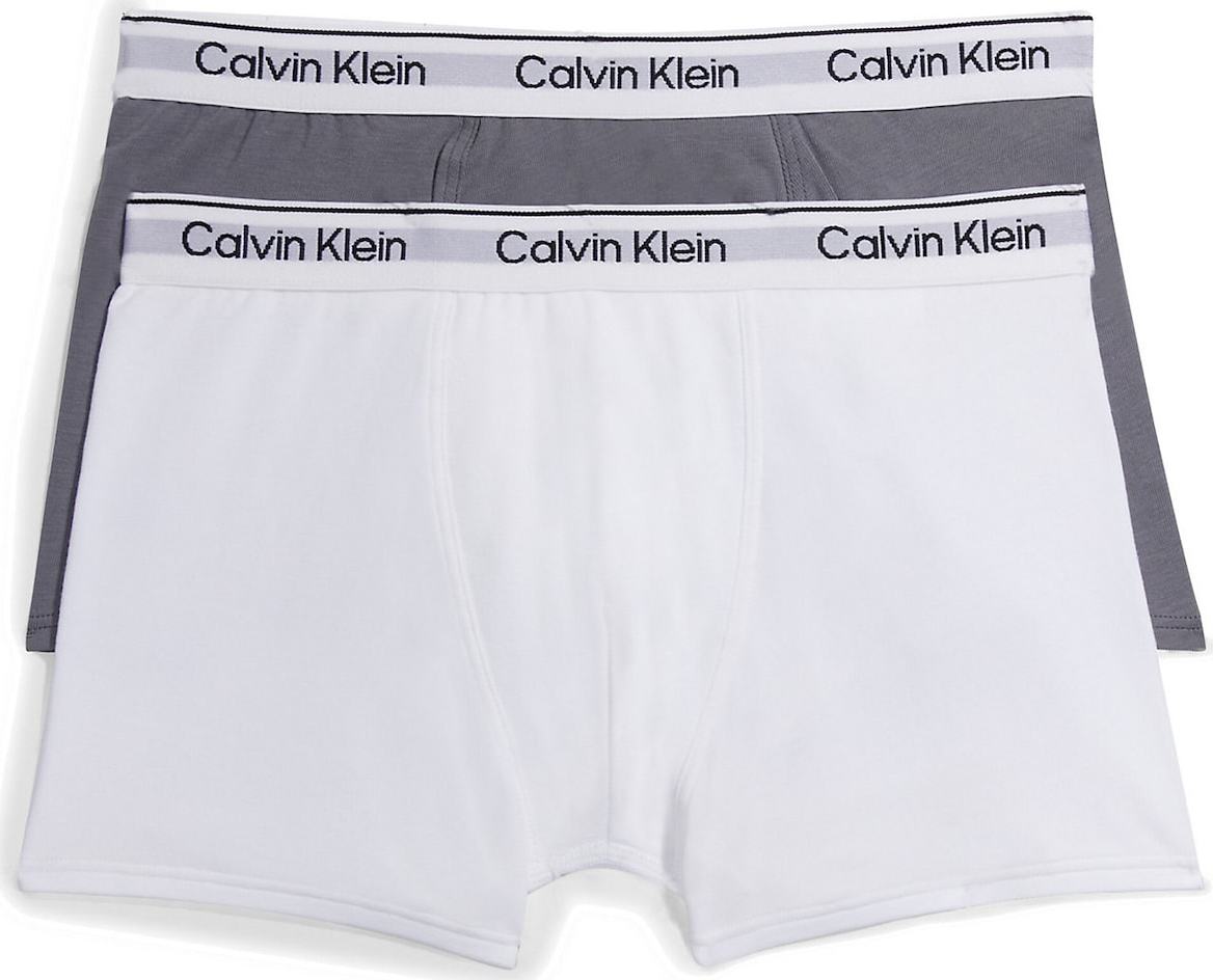 Calvin Klein Underwear Spodní prádlo šedá / bílá