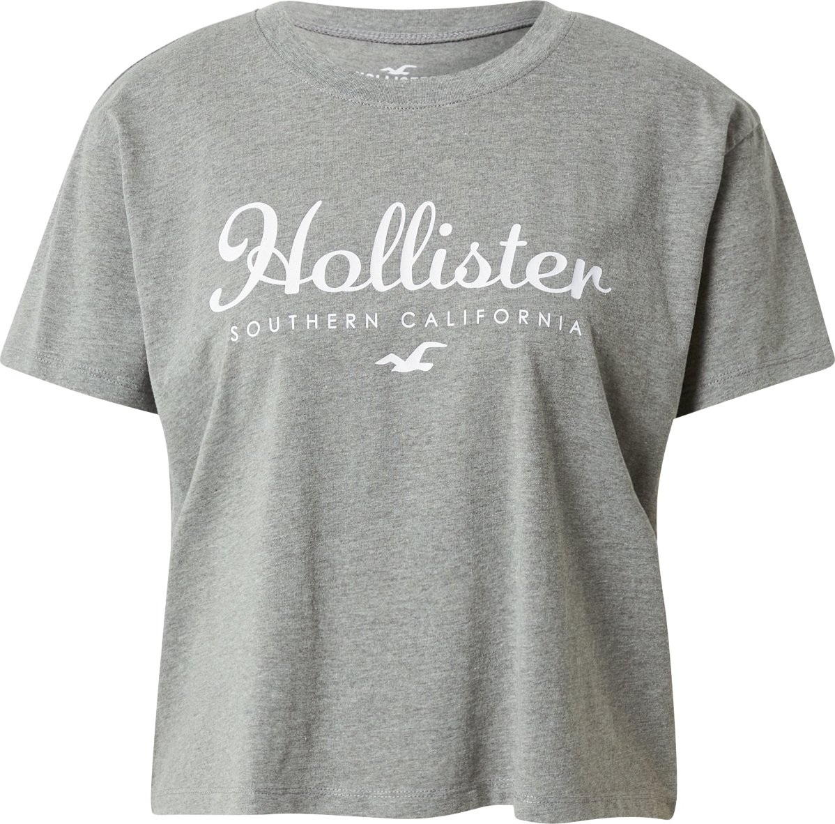 HOLLISTER Tričko šedá / bílá