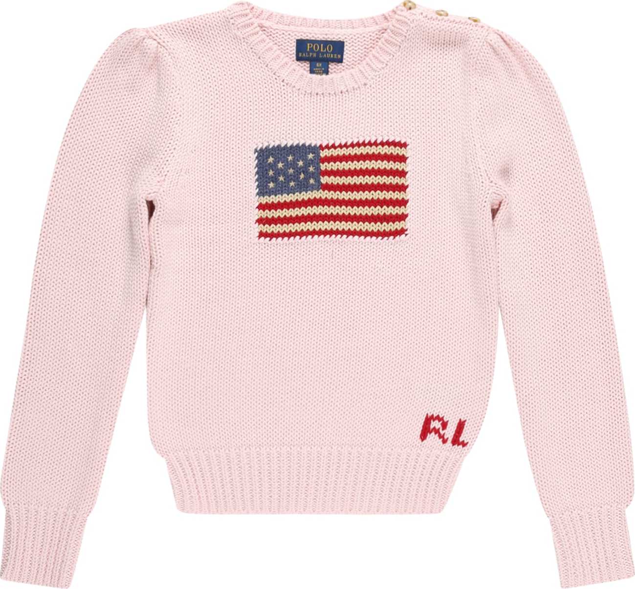 Polo Ralph Lauren Svetr námořnická modř / hnědá / růžová / červená