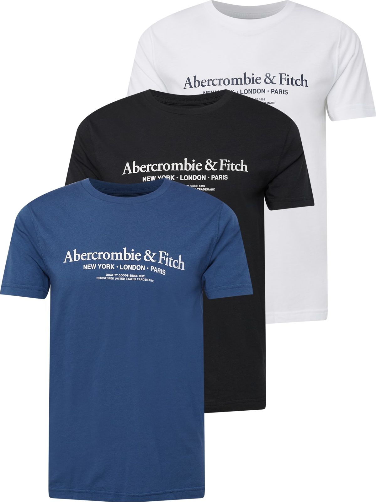 Abercrombie & Fitch Tričko marine modrá / černá / bílá