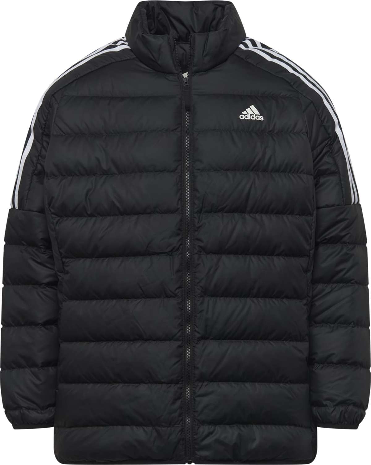 ADIDAS SPORTSWEAR Outdoorová bunda černá / bílá