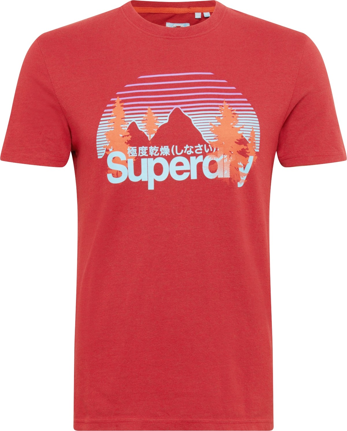 Superdry Tričko mix barev / červená