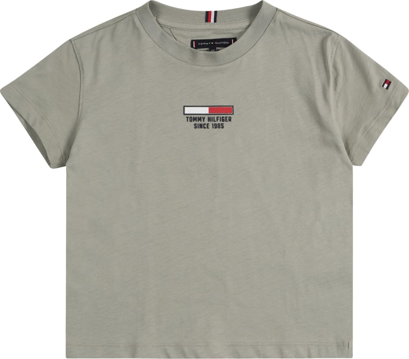 TOMMY HILFIGER Tričko mátová / červená / černá / bílá