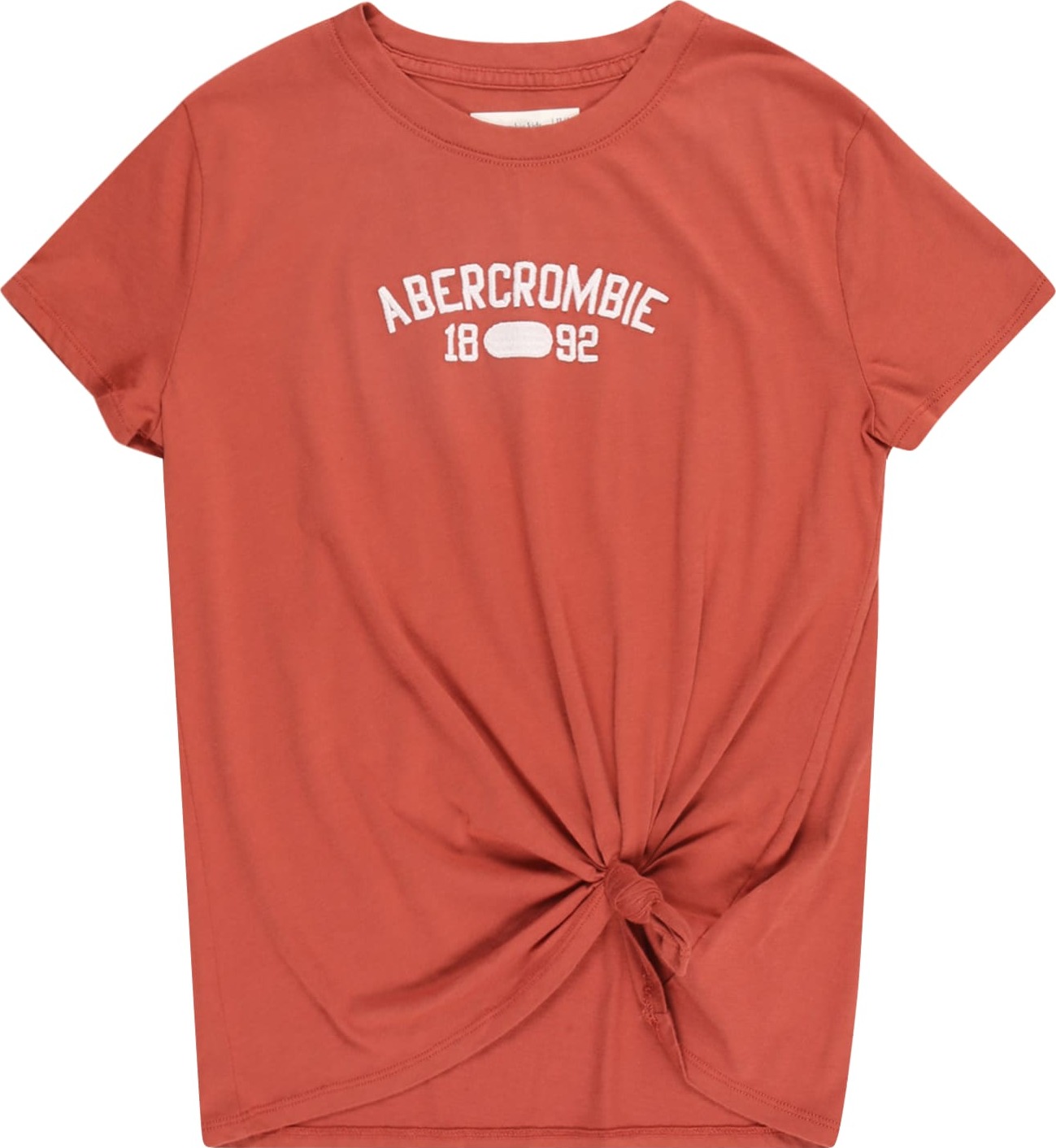 Abercrombie & Fitch Tričko rezavě hnědá / bílá