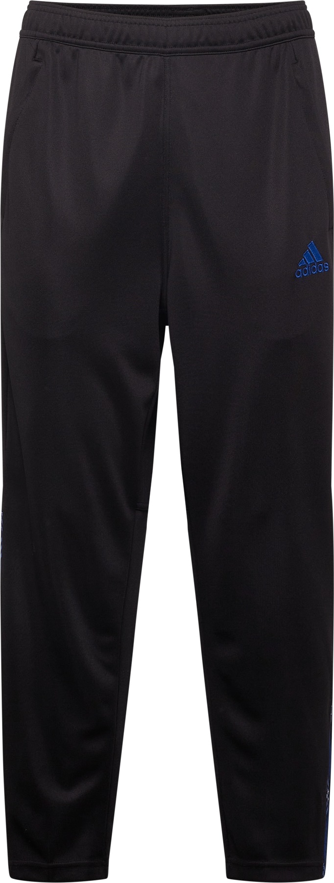 ADIDAS SPORTSWEAR Sportovní kalhoty modrá / černá