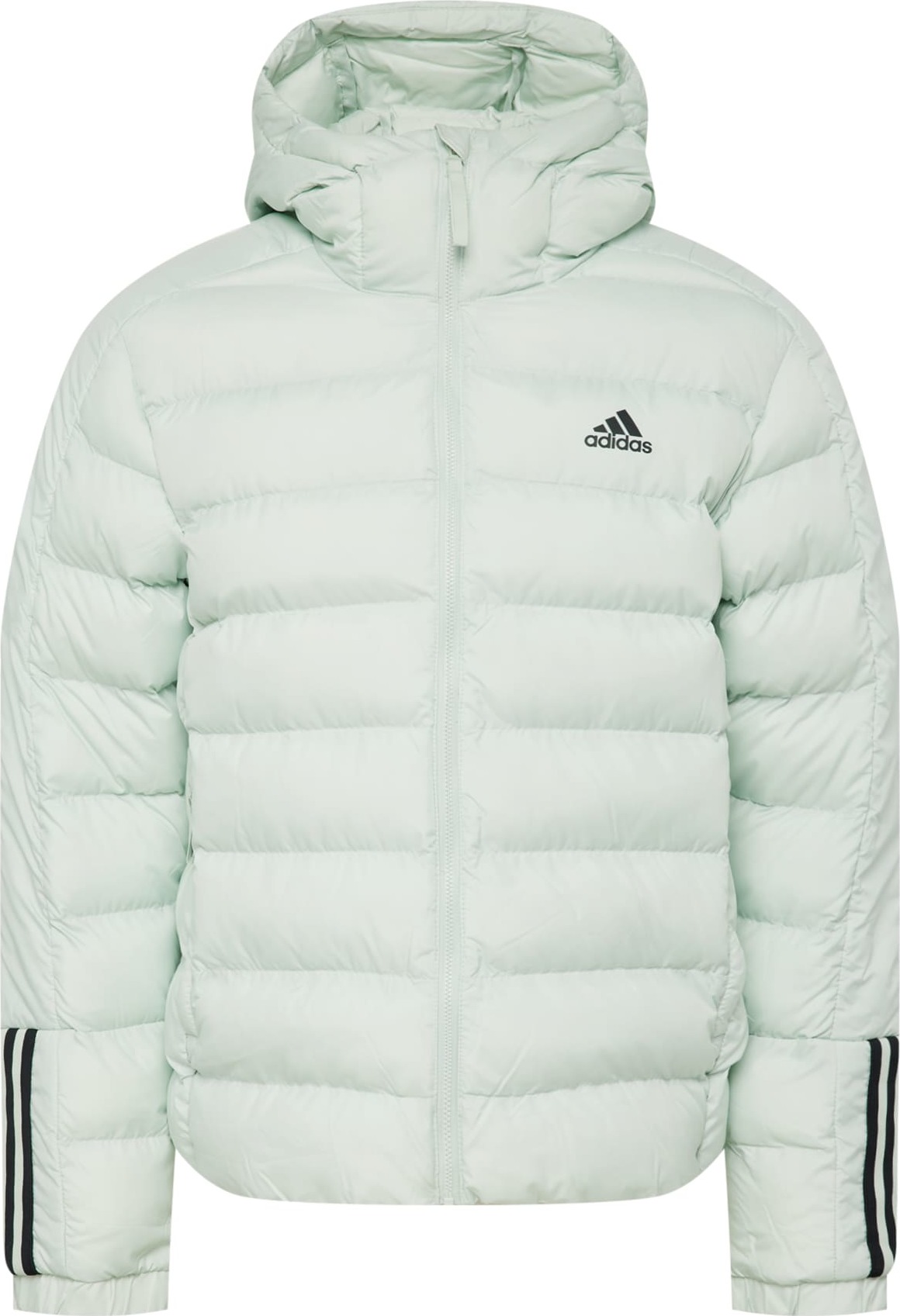 ADIDAS SPORTSWEAR Outdoorová bunda 'Itavic' pastelově zelená / černá