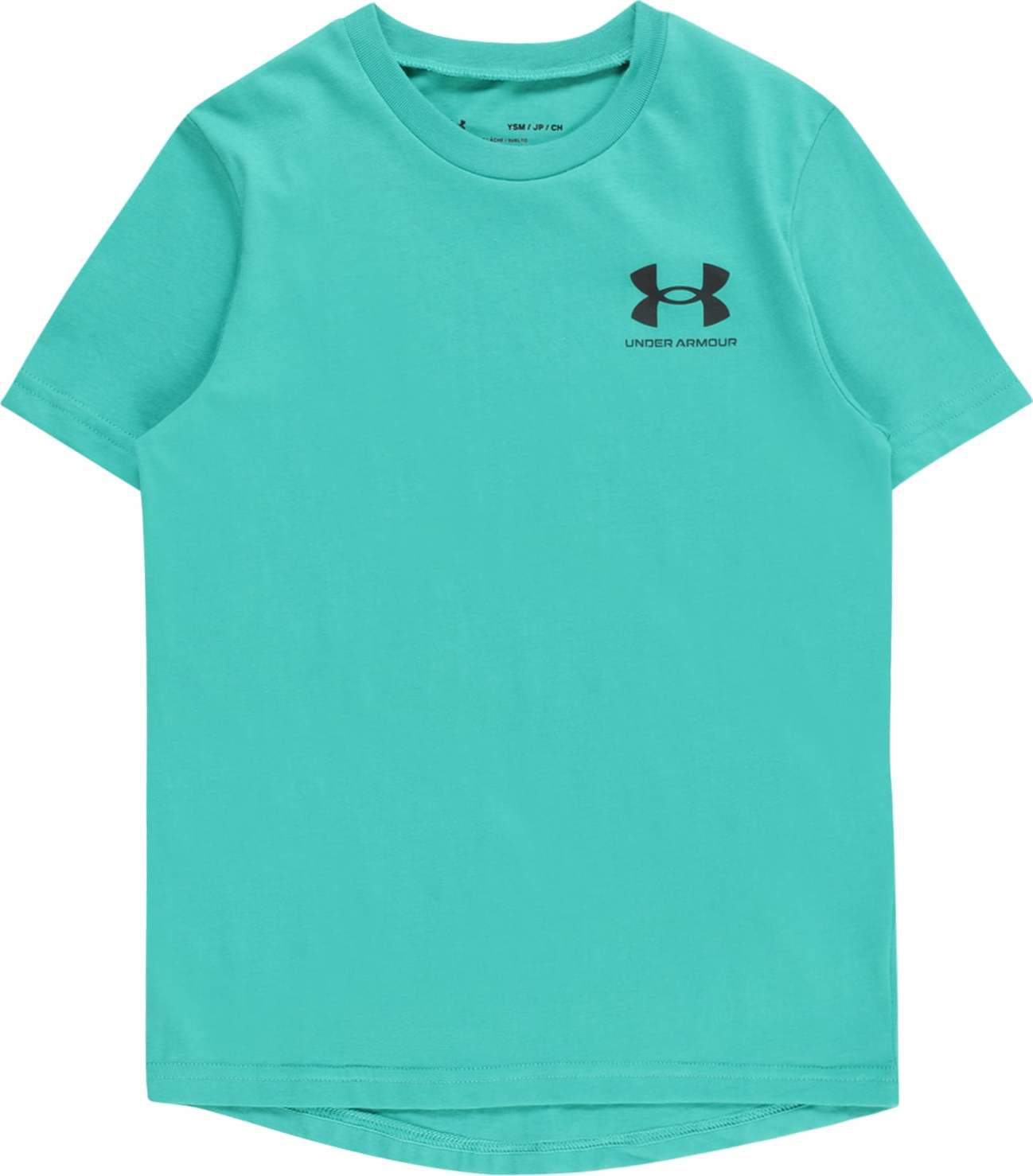 UNDER ARMOUR Funkční tričko nefritová / černá