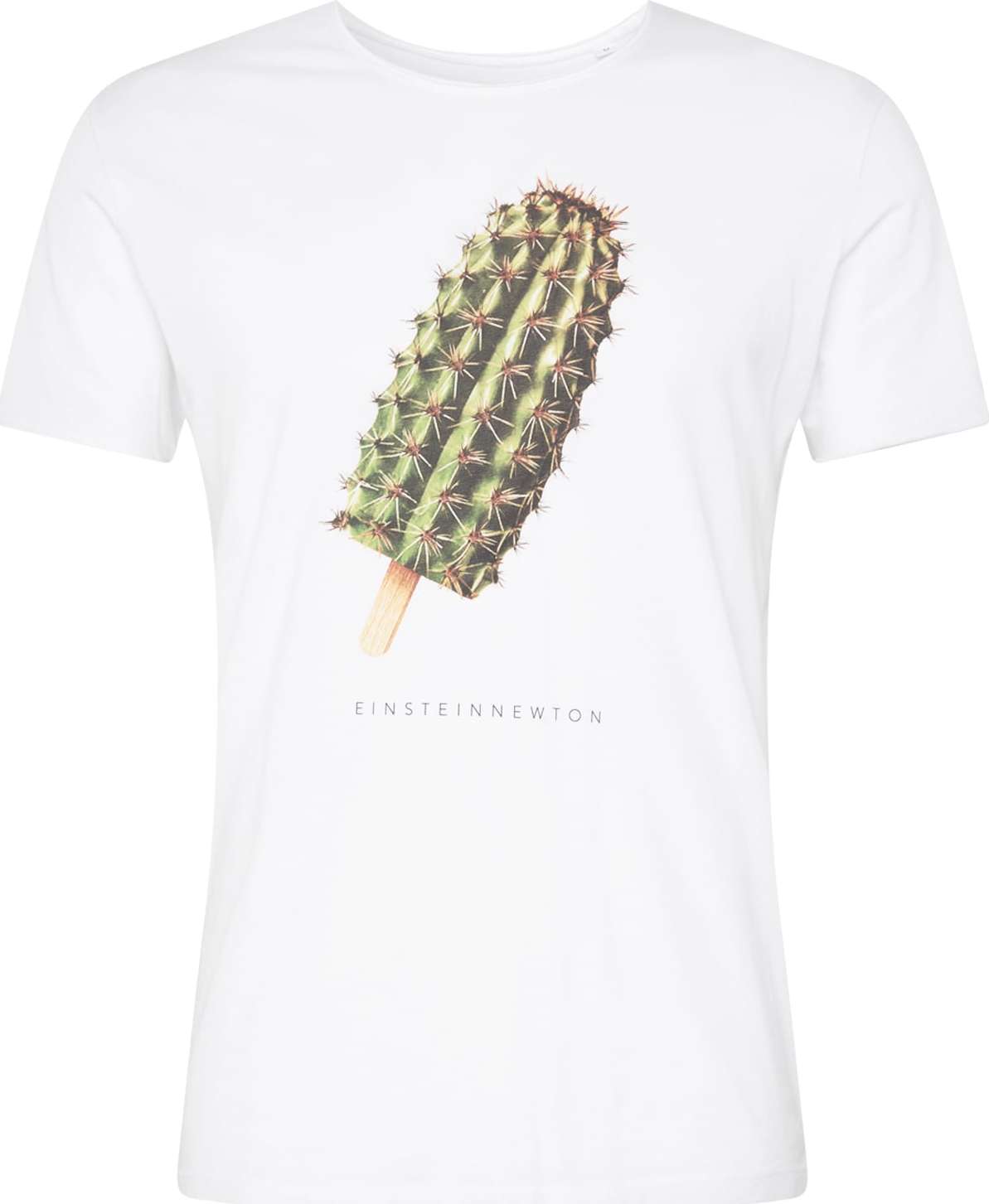 Tričko 'Cactus Ice' einstein & newton hnědá / zelená / černá / bílá